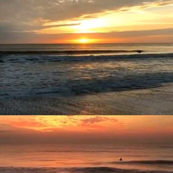 flagalbeachlife
